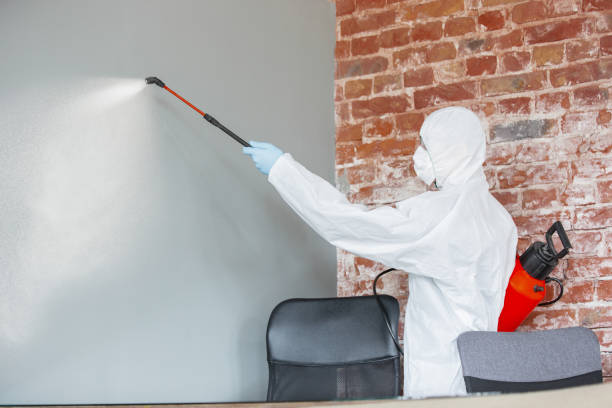 Best Mold Odor Removal Services  in Laurel, MS