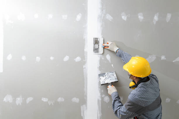 Best Mold Prevention Services  in Laurel, MS